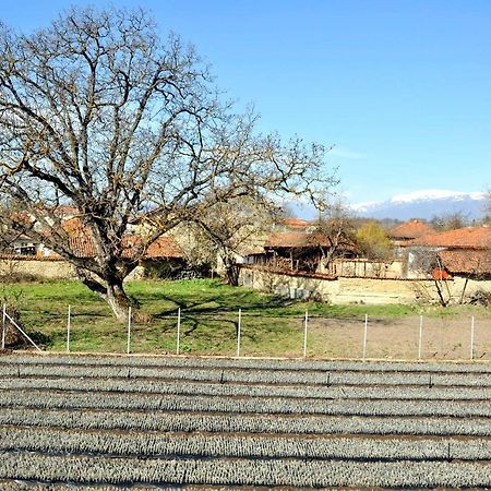 فيلا Vila V S. Gabarevo, Dolinata Na Rozite. المظهر الخارجي الصورة