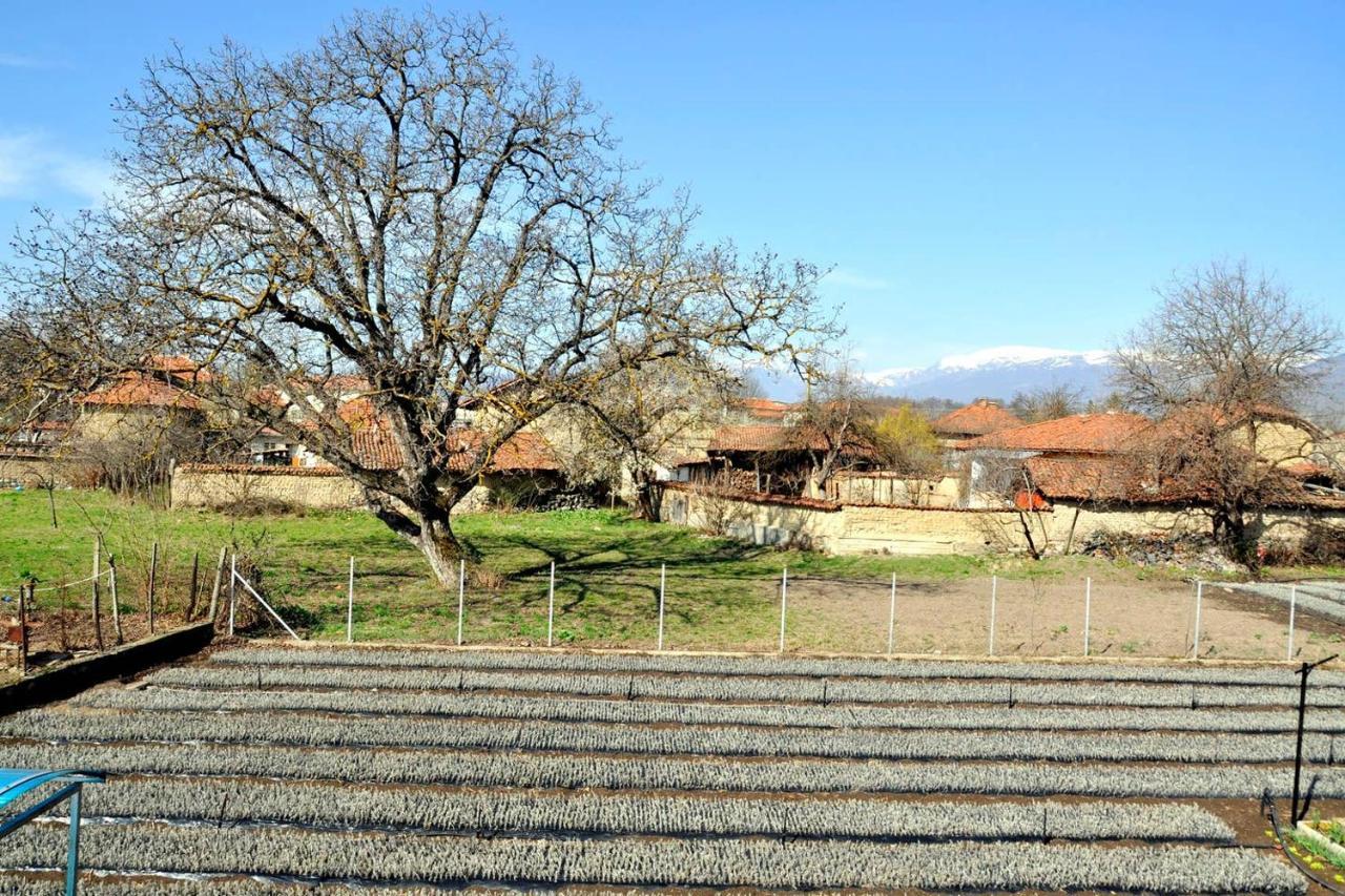 Вила В С. Габарево, Долината На Розите. Gabarevo المظهر الخارجي الصورة