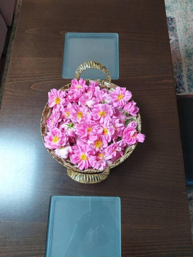 Вила В С. Габарево, Долината На Розите. Gabarevo المظهر الخارجي الصورة